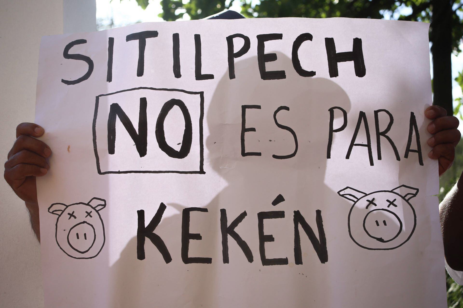 Protestas en Yucatán por granjas porcinas de Kekén: Detienen a 4 personas en Sitilpech