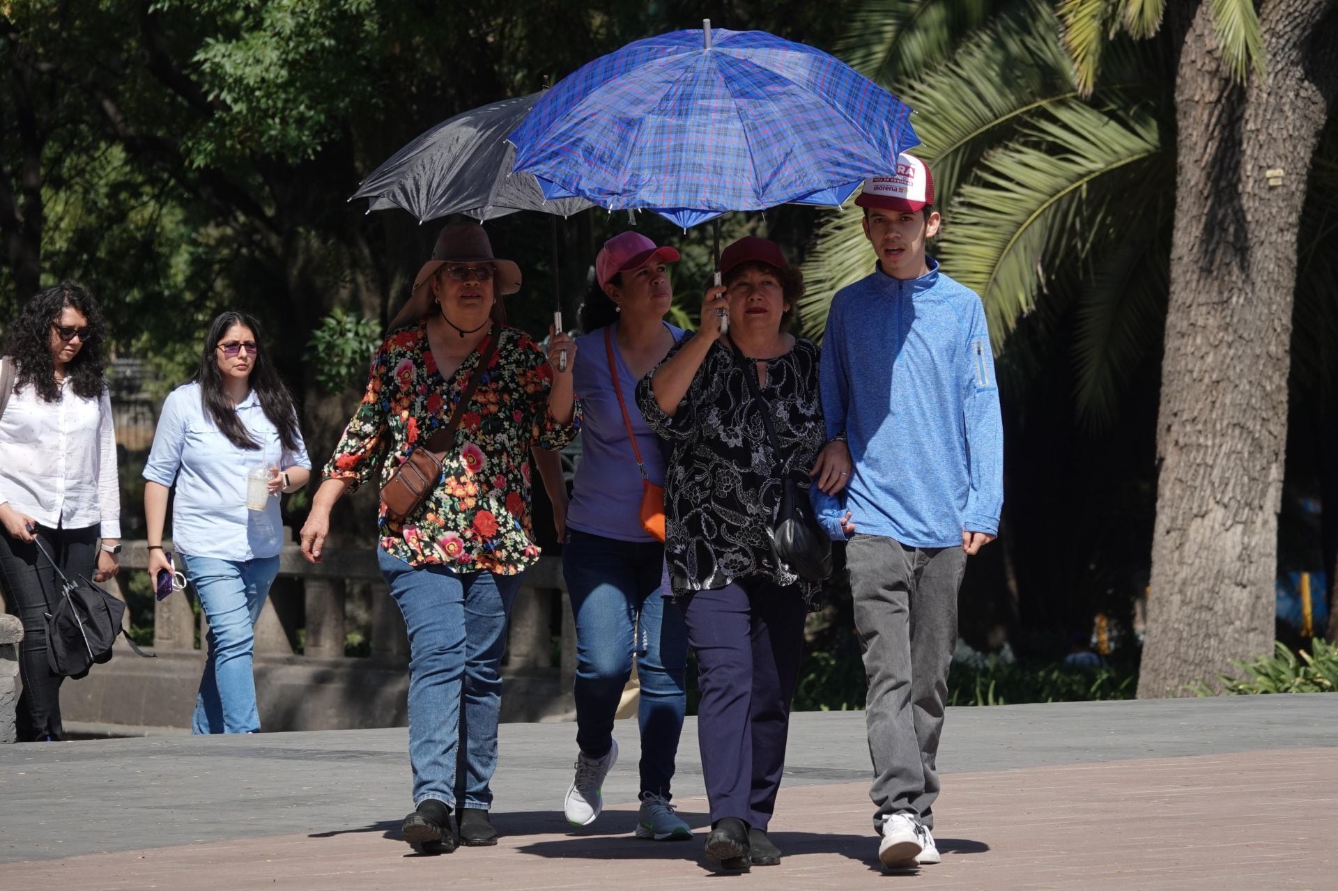 Se esperan temperaturas de 35 a 40 centígrados en 10 entidades del país. 