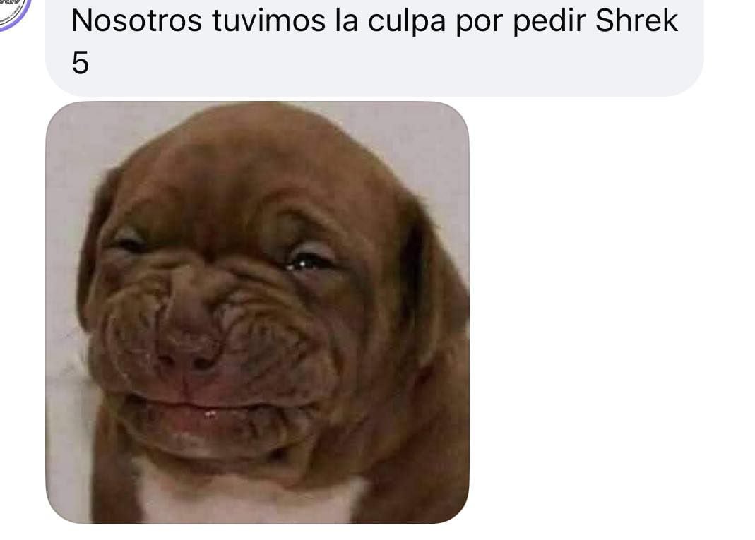 Memes sobre el tráiler de la película 'Shrek 5'. (Foto: Redes sociales)