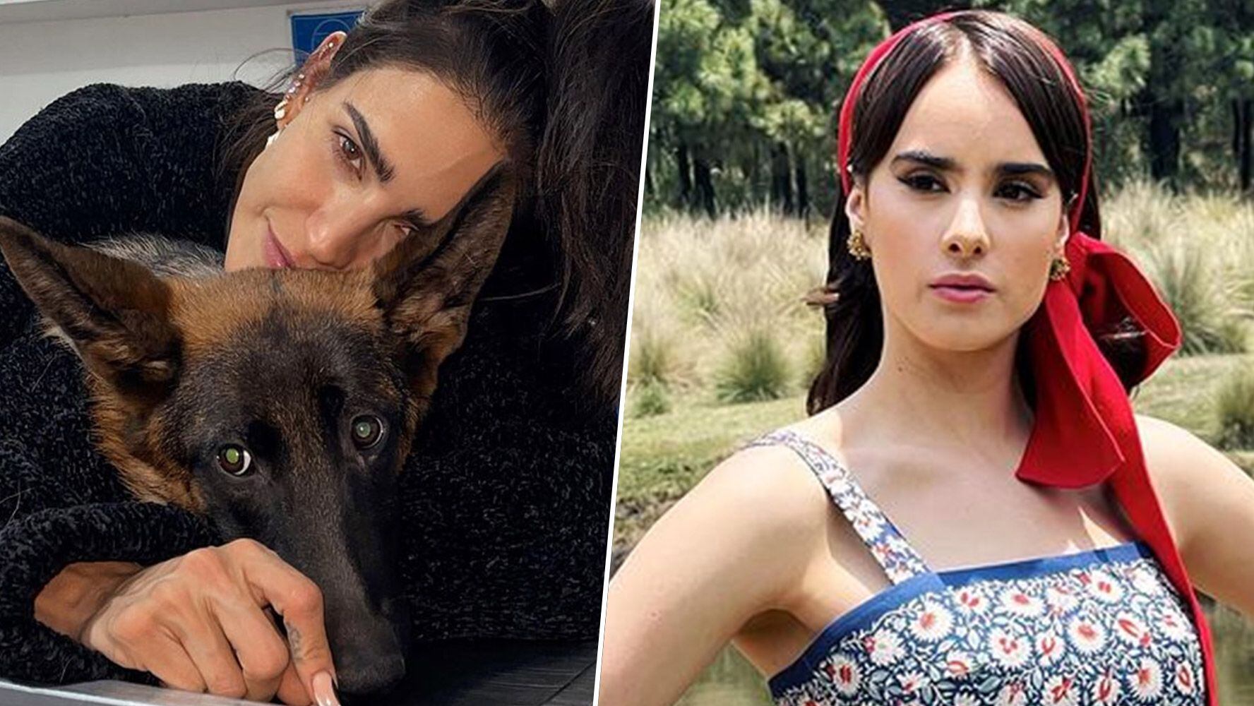 ‘Solo quiere likes’: Gala Montes y Bárbara de Regil discuten por muerte de mascota 
