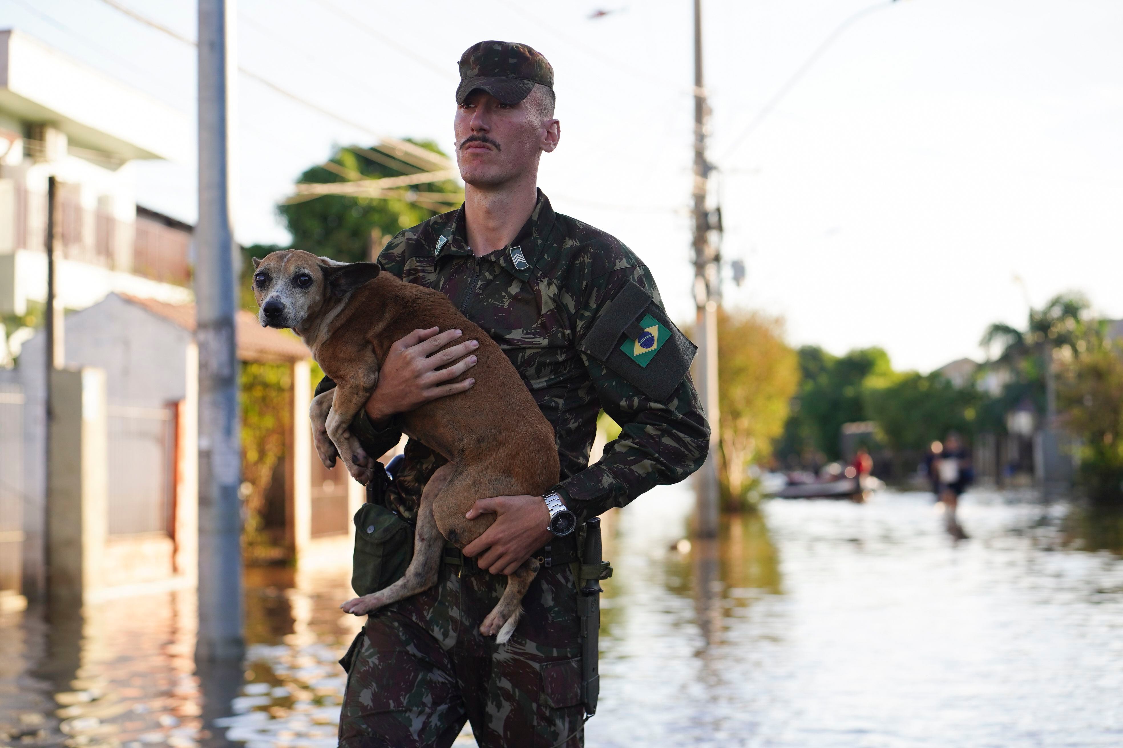 Un soldado rescata a un perro de una zona inundada después de las fuertes lluvias en Río Grande del Sur, Brasil. 