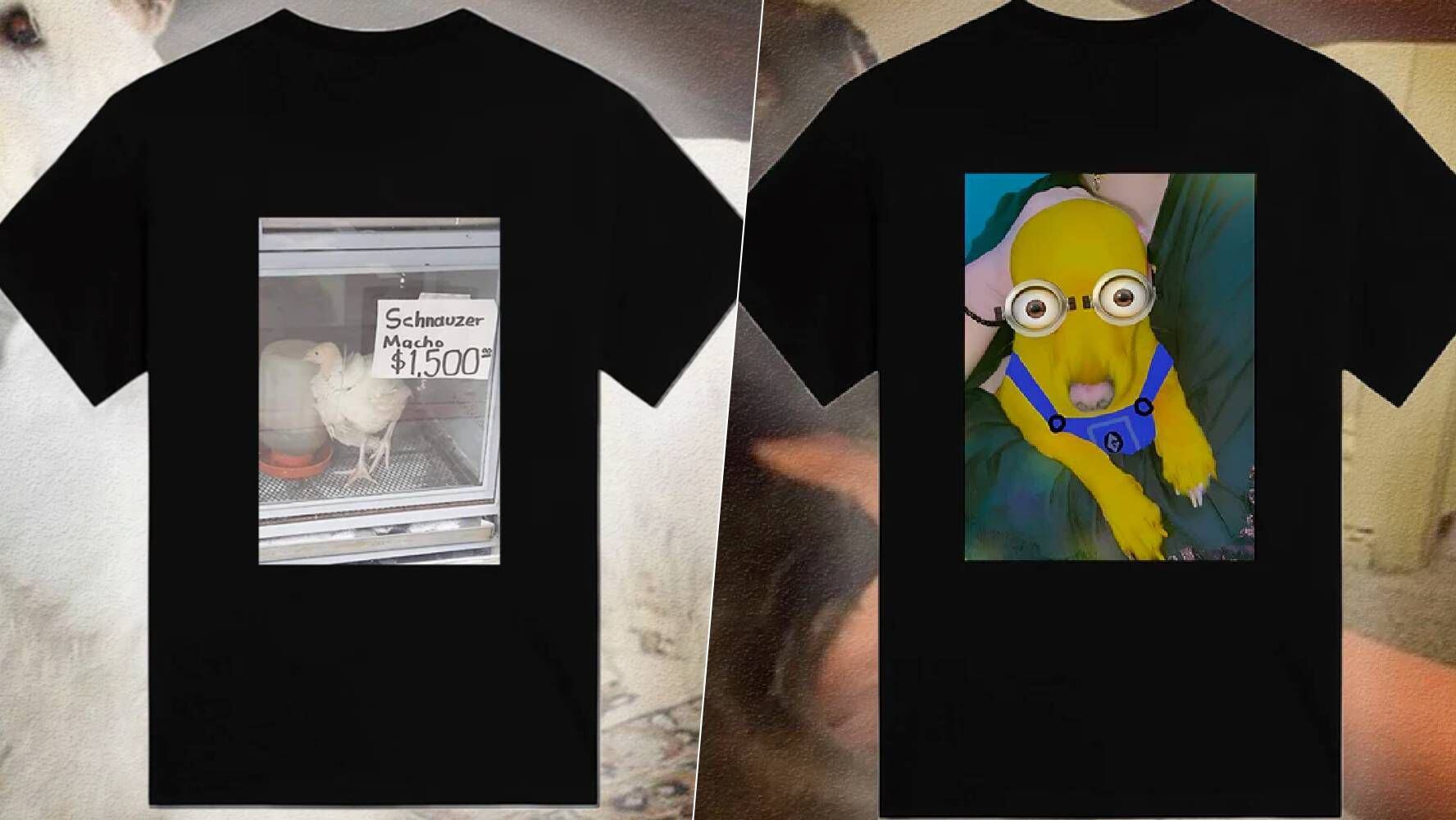 Camisetas Pendejas vende playeras con imágenes sin sentido. (Foto: Instagram / @camisetas_pendejas)
