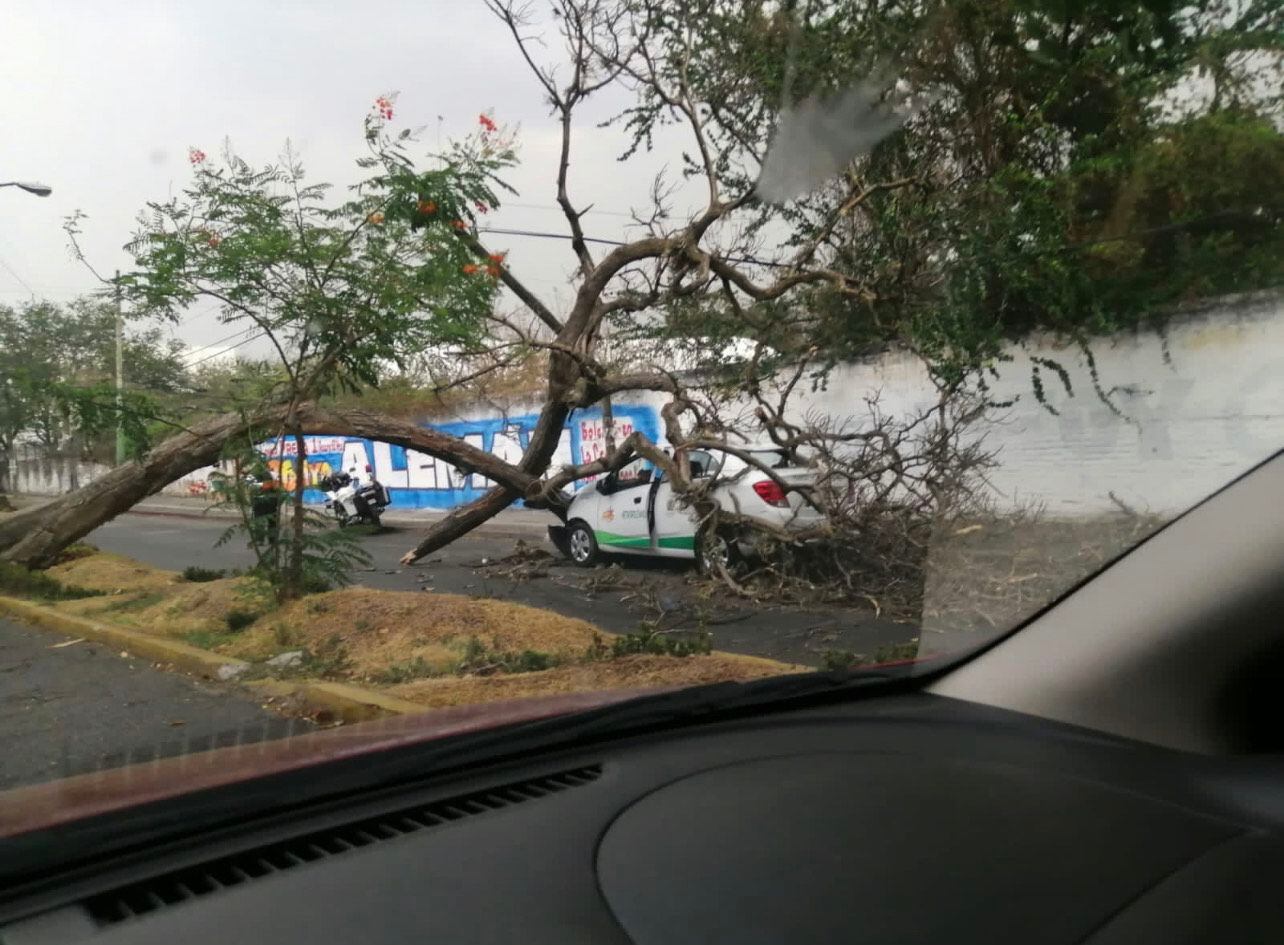 ‘Vientazo’ genera tormenta de arena en la México-Cuernavaca; tira árboles y cables