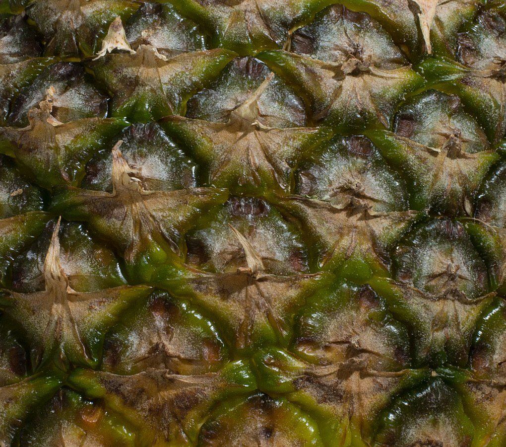 La cáscara de la piña protagoniza algunas recetas de tepache. (Foto: Wikimedia Commons)