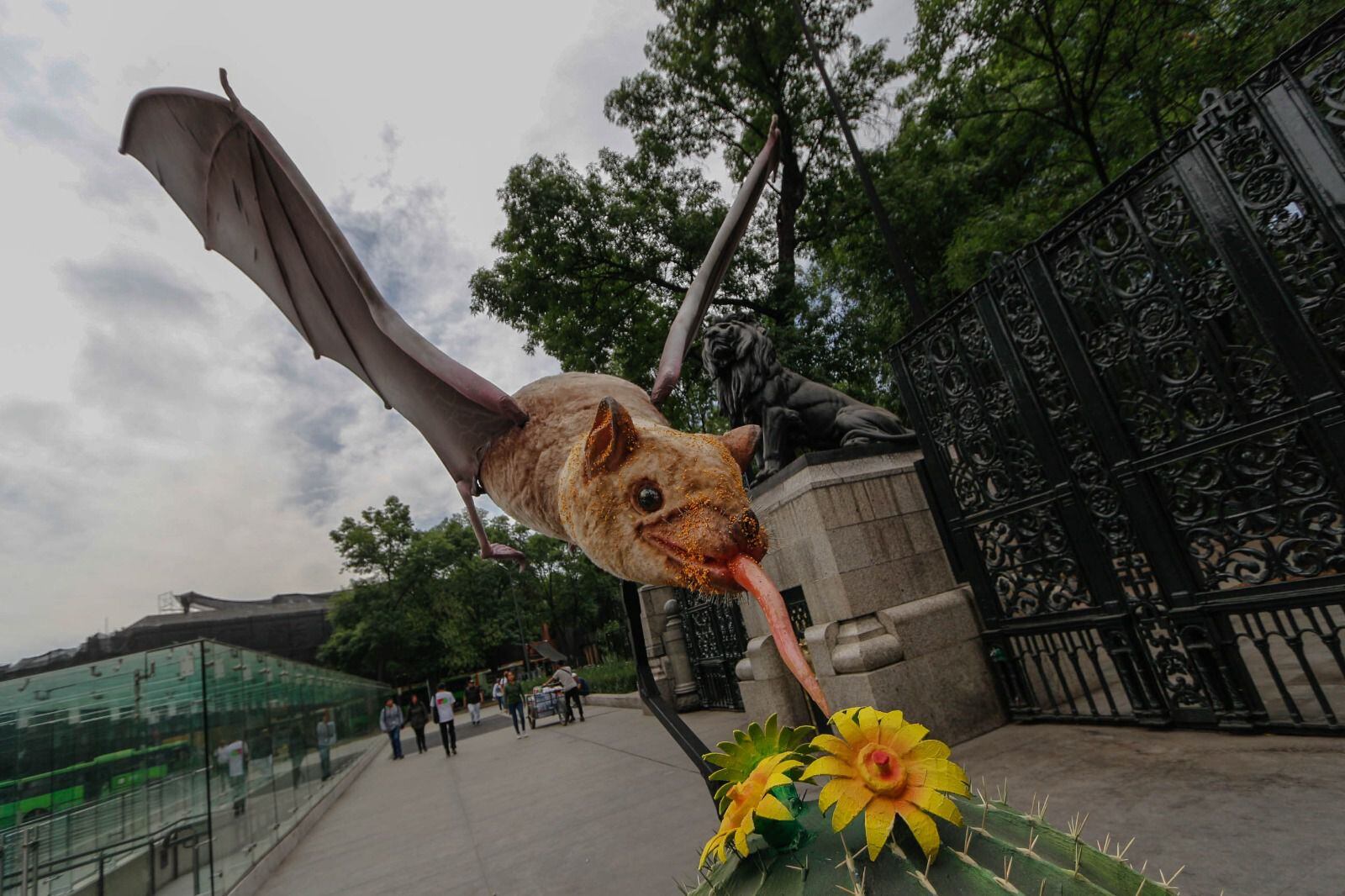 El Bosque de Chapultepec celebra un festival de murciélagos. (Foto: Facebook / @Quiróptera: Festival del Bosque de Chapultepec)