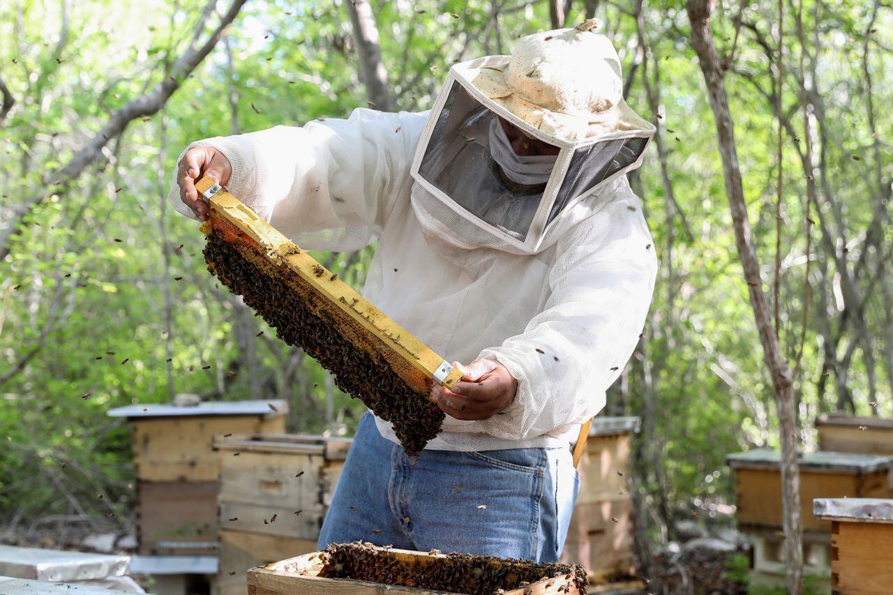 ¡Por fin!, los apicultores en el radar