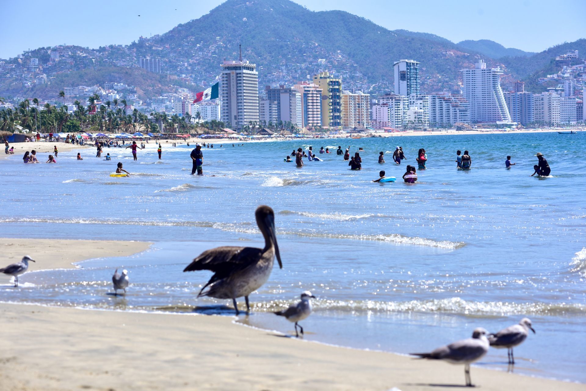 ¿Camping en Acapulco? Piden que se permita a turistas estar en ‘hotel Cama-arena’ en Semana Santa