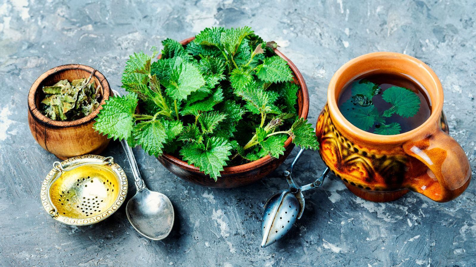 El té de ortiga se consume para padecimientos renales y estomacales. (Foto: Shutterstock).