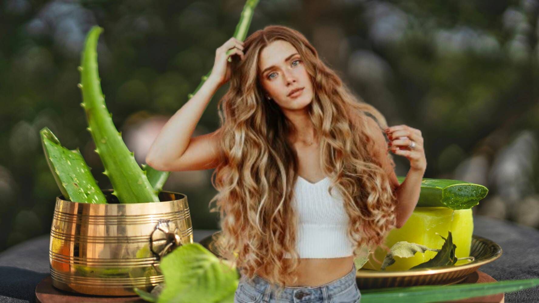 La sábila tiene múltiples beneficios para el cabello. (Foto: Especial El Financiero)