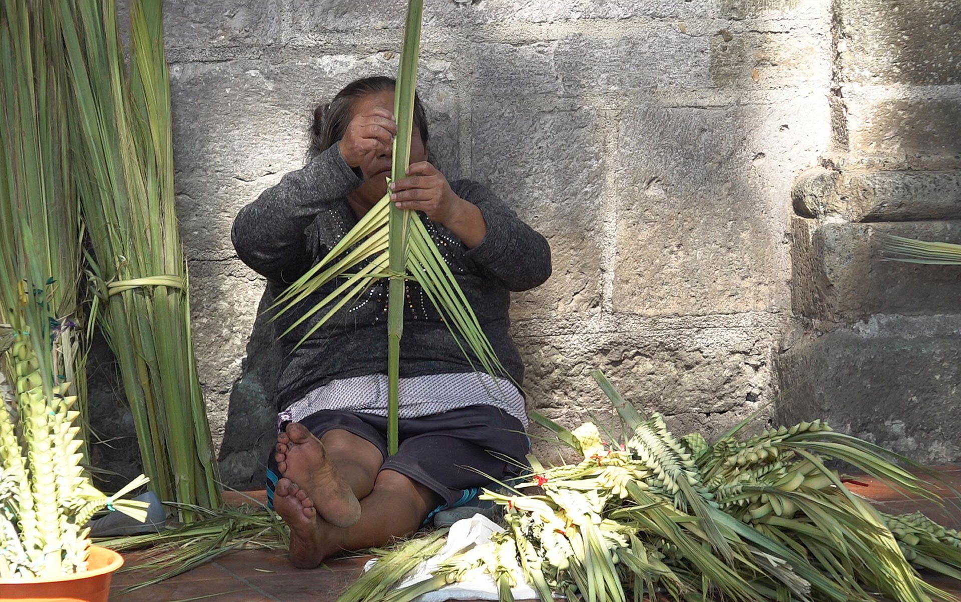 Domingo de Ramos: Artesanos de las palmas viven un ‘viacrucis’ por sequía e incendios