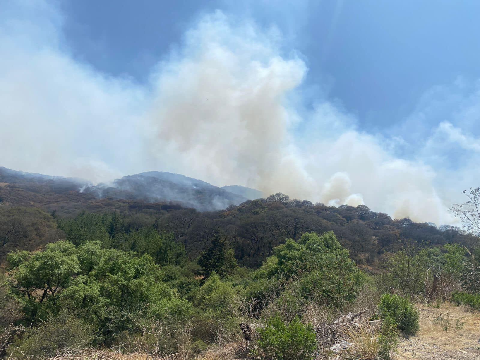 Incendio consume áreas de Zona Esmeralda en Atizapán, Edomex