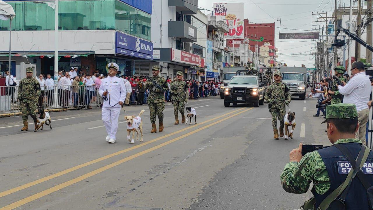 Los binomios caninos 'Nerón' y 'Donatello' durante el desfile militar del 16 de septiembre en Villahermosa, Tabasco. 