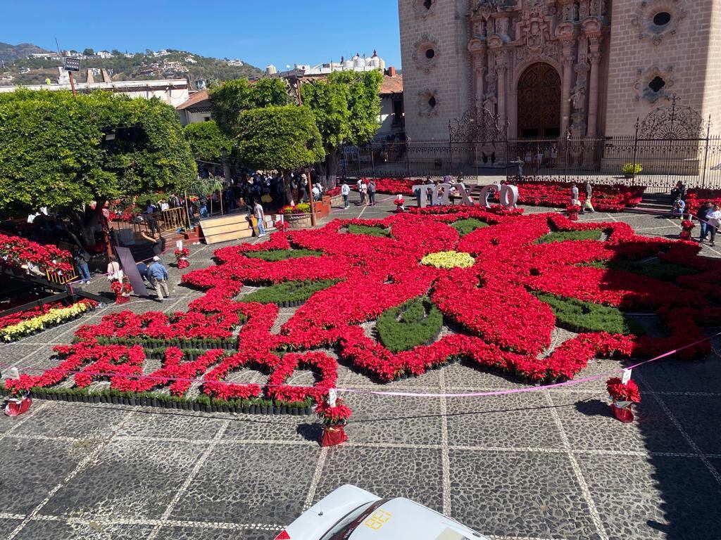 Taxco tiene la Flor de Nochebuena más grande del mundo