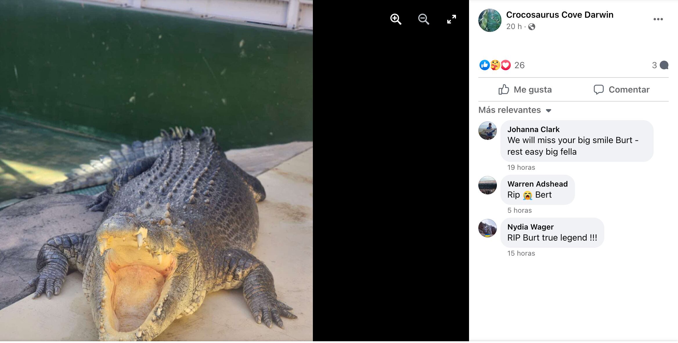 El acuario donde se encuentra el cocodrilo Burt, anunció la muerte del reptil el domingo 22 de diciembre. (Foto: Facebook crocosaurius cove darwin)