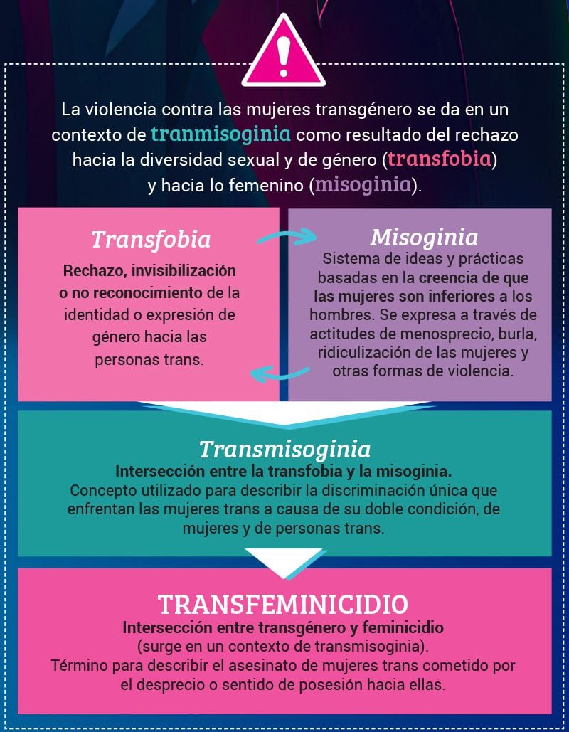 La ONU explica qué son los transfeminicidios y sus componentes.