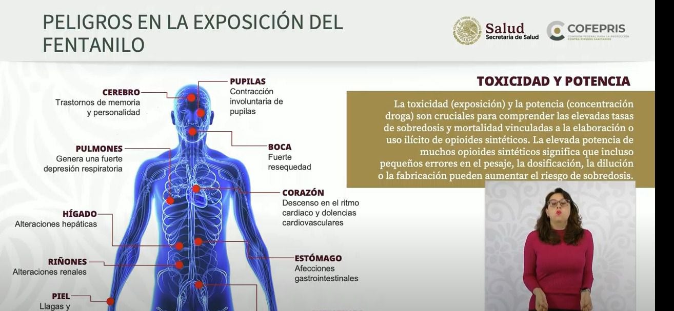 Especialistas del gobierno federal explicaron los peligros que representa la exposición al fentanilo.