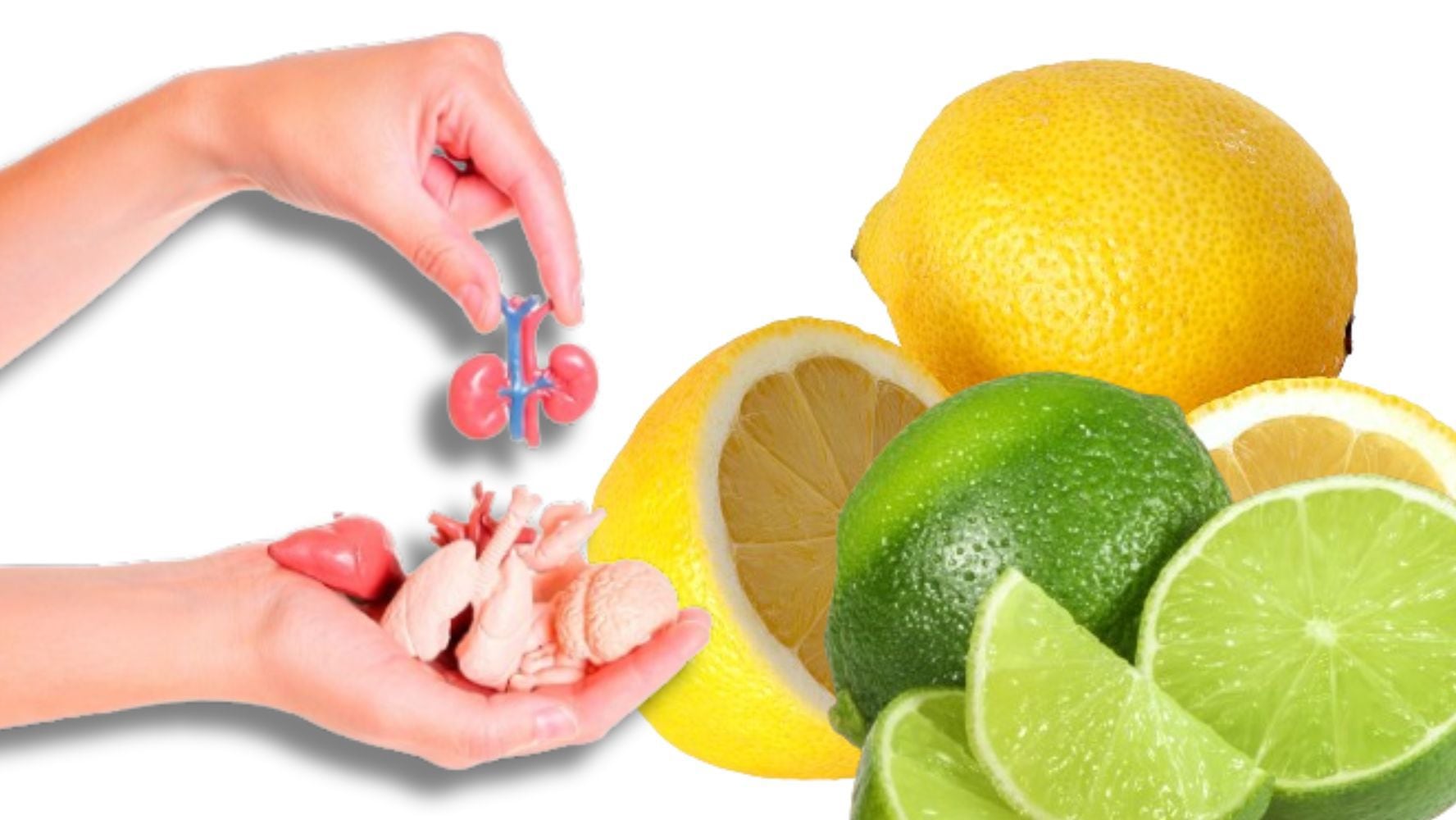 Dependiendo de las cantidades, el limón puede perjudicar o beneficiar algunos órganos. (Foto: Shutterstock)
