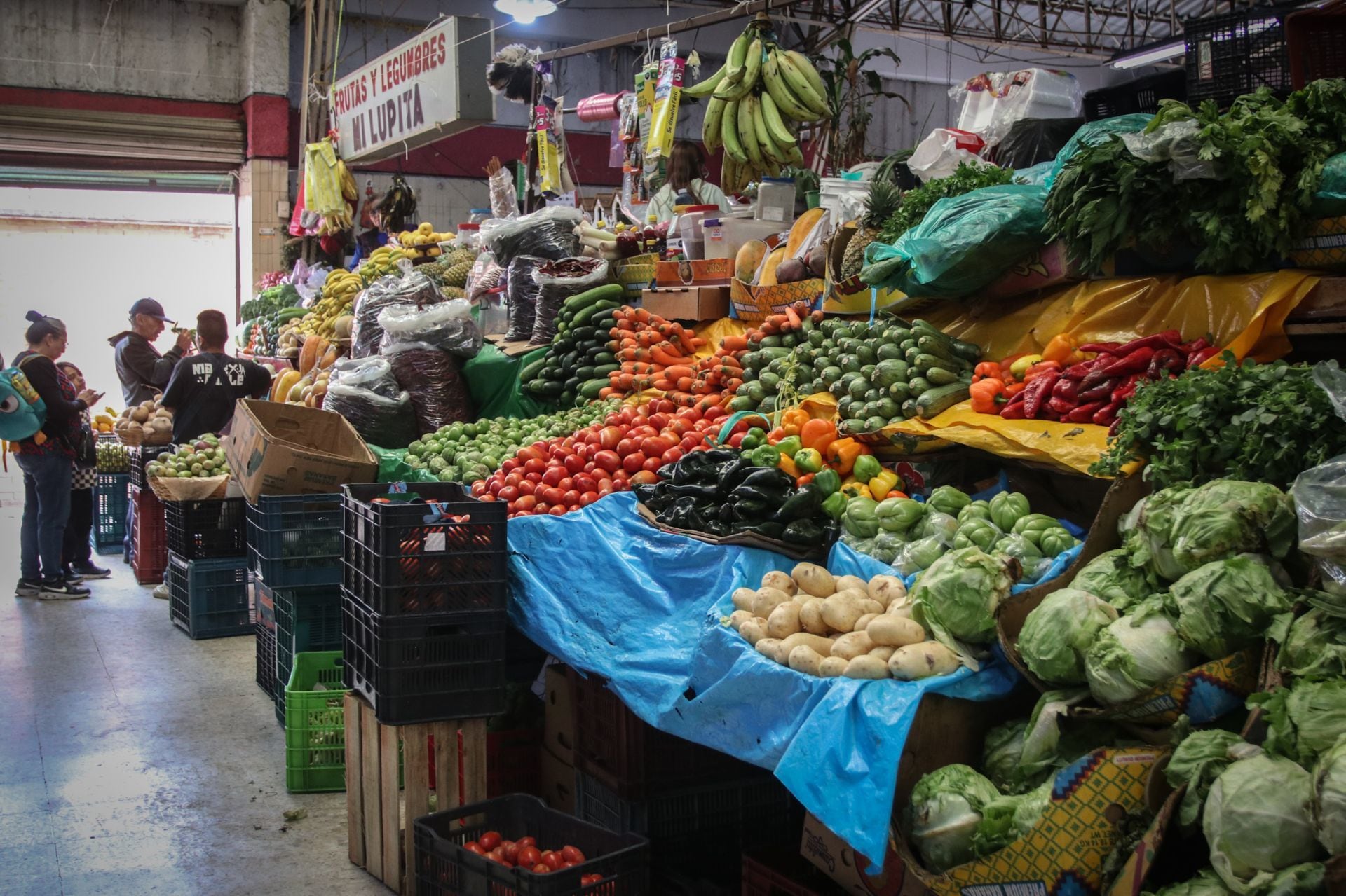 México, mal parado ante la OCDE: Inflación en alimentos es la segunda más alta de la organización