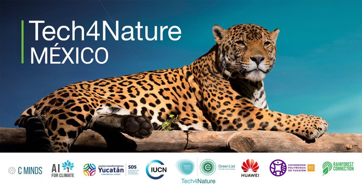 Tech4Nature, la estrategia tecnológica de Huawei para preservar la Selva Maya