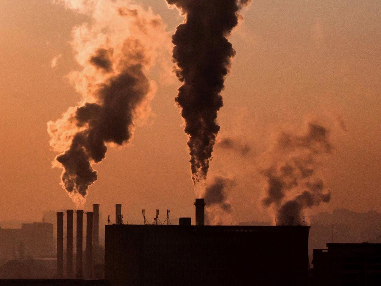 Descarbonizar o no descarbonizar, esa es la política pública