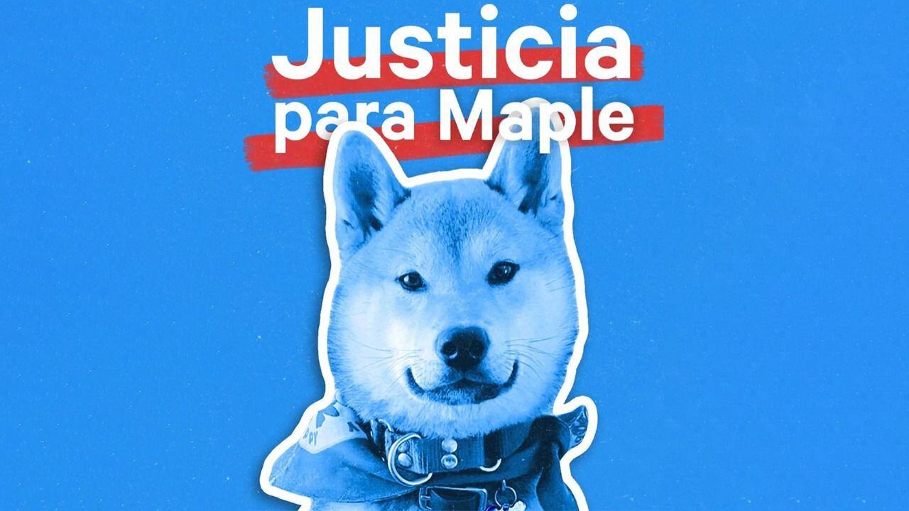 Justicia para Maple: ‘Estamos más cerca de saber la verdad’, dice su dueña