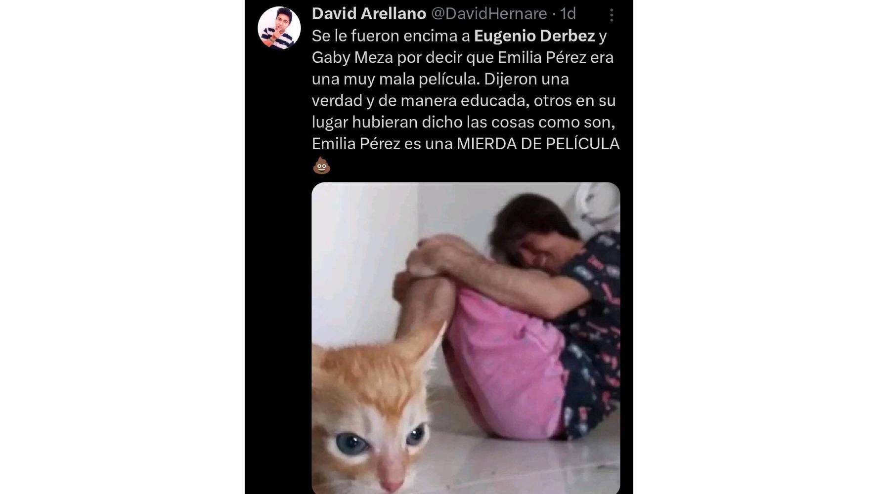 Memes de 'Emilia Pérez' y Eugenio Derbez. (Foto: Captura X)