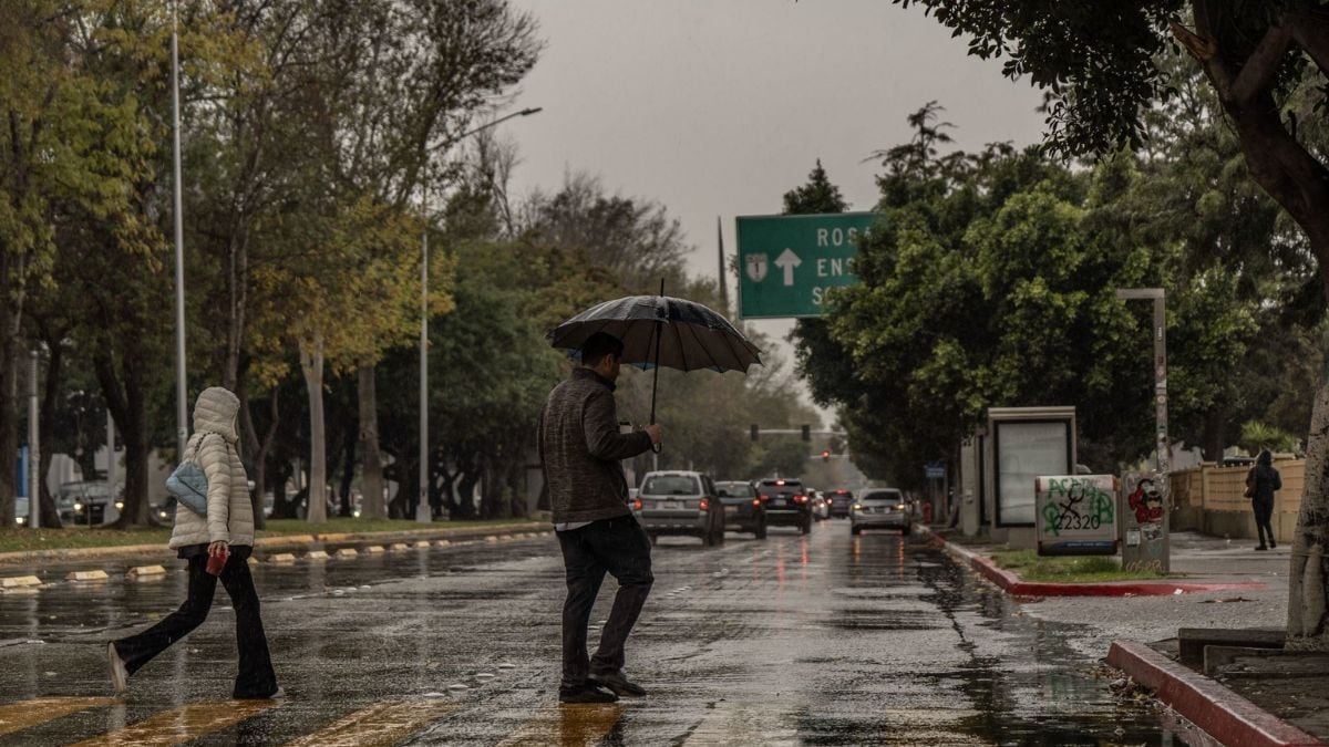 Alerta de lluvias en México: ¿Por qué se esperan 7 días húmedos y qué estados serán los afectados?