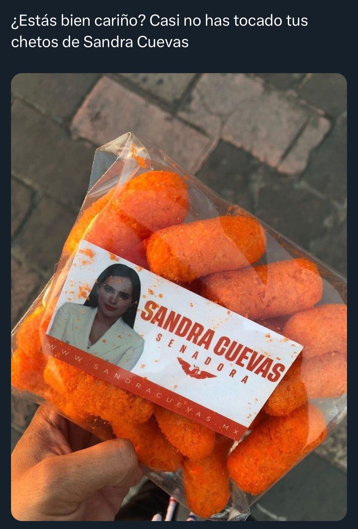 Los memes de los 'chetos' de Sandra Cuevas hacen referencia a películas y series. (Foto: X / @rickydelhoyo)
