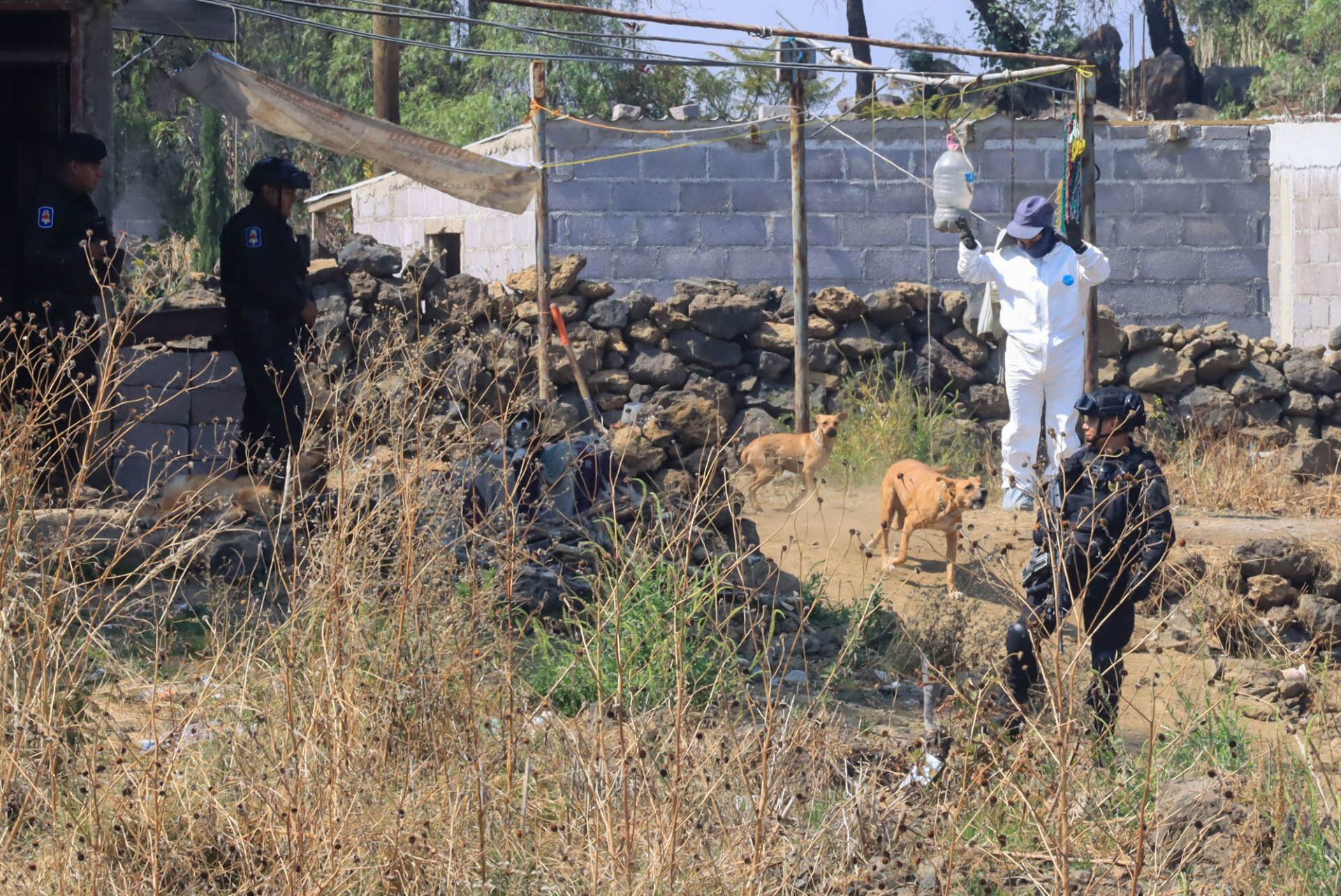 Peritos analizan los restos hallados en una fosa clandestina en Xochimilco el 5 de febrero de 2025.