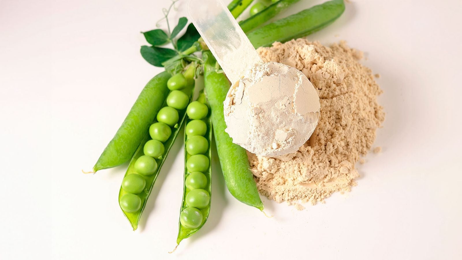 Las proteínas vegetales se producen a partir de distintos cereales y leguminosas. (Shutterstock)