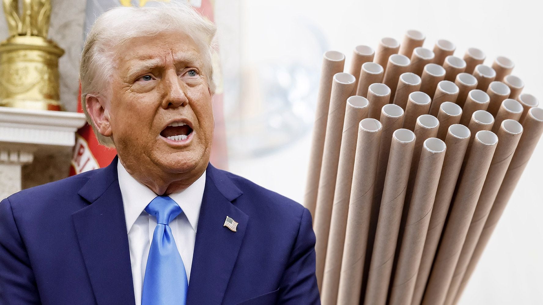 ¿Y las tortugas? Trump anuncia decreto para acabar con popotes de papel: ‘Que regrese el plástico’