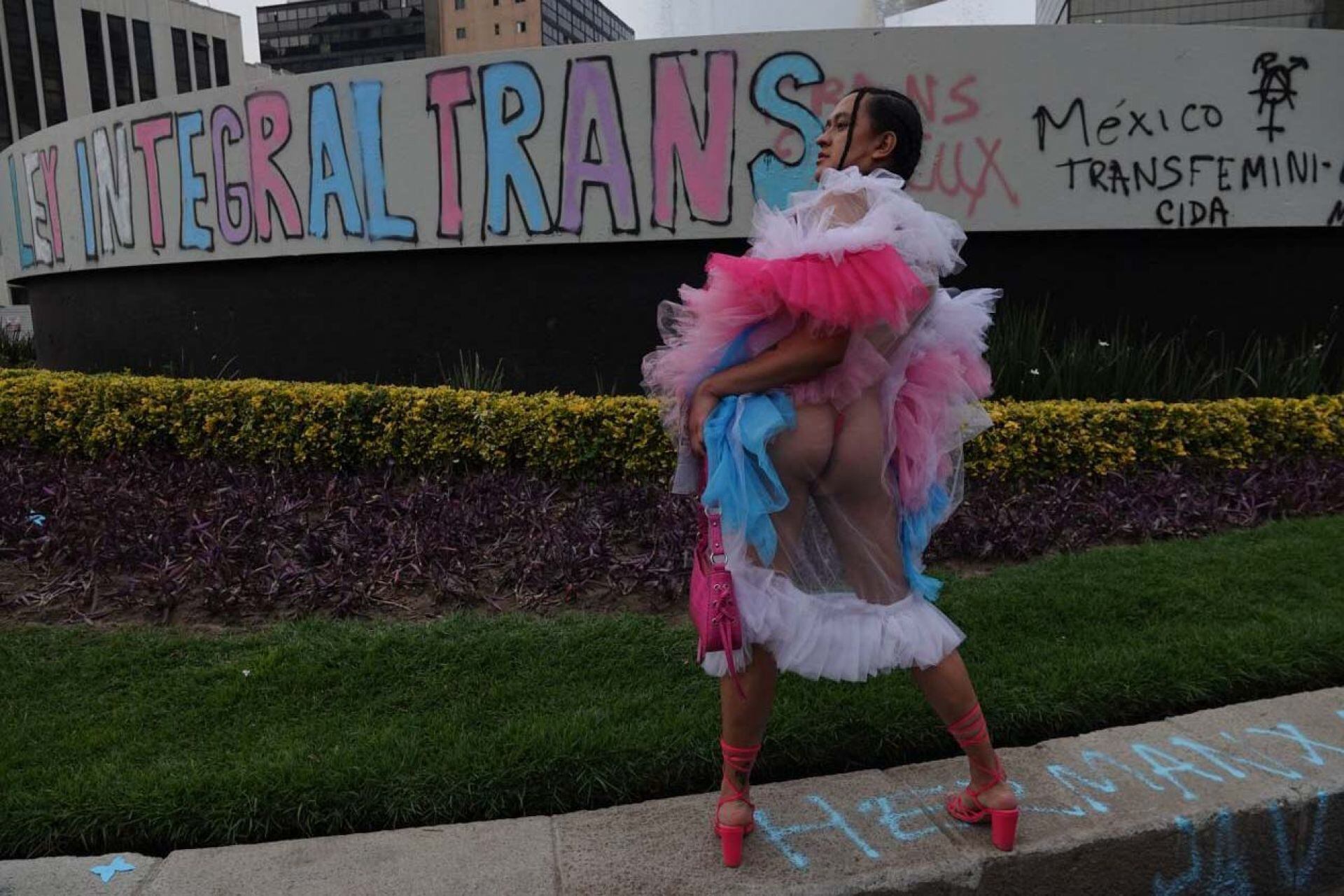 Personas trans y no binarixs se encuentran dentro del paraguas de las identidades de género.