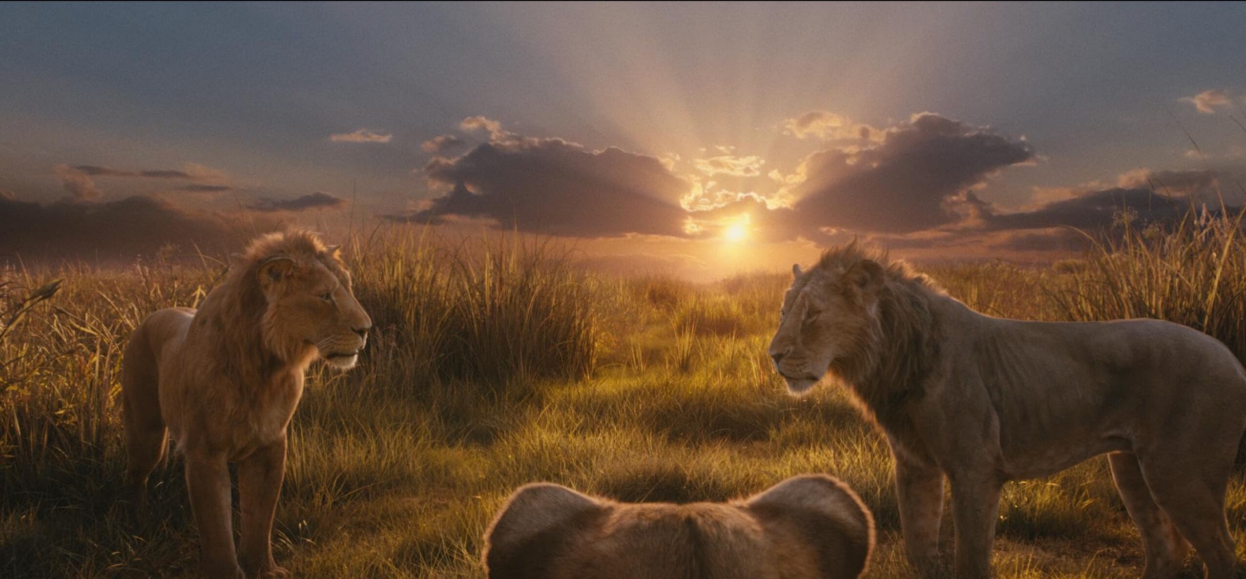 El Rey León regresa a la pantalla grande con la historia de Mufasa. (Foto: IMDB)