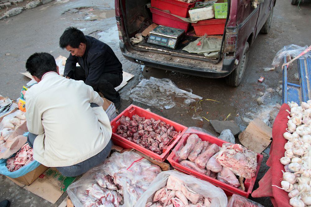 Mercados de Wuhan tenían animales silvestres en malas condiciones... y ausencia de murciélagos: estudio chino