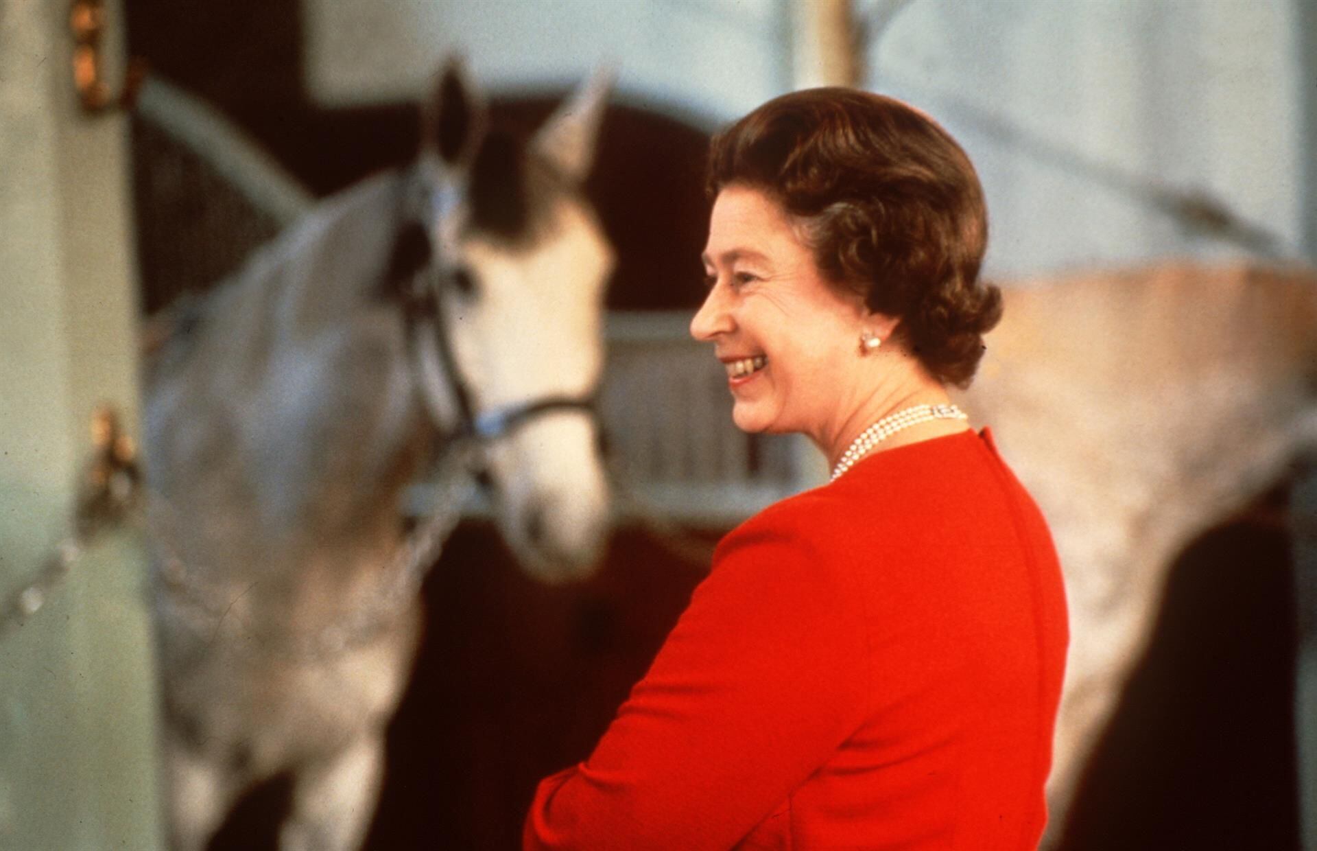 La Reina Isabel II criaba a sus propios caballos.