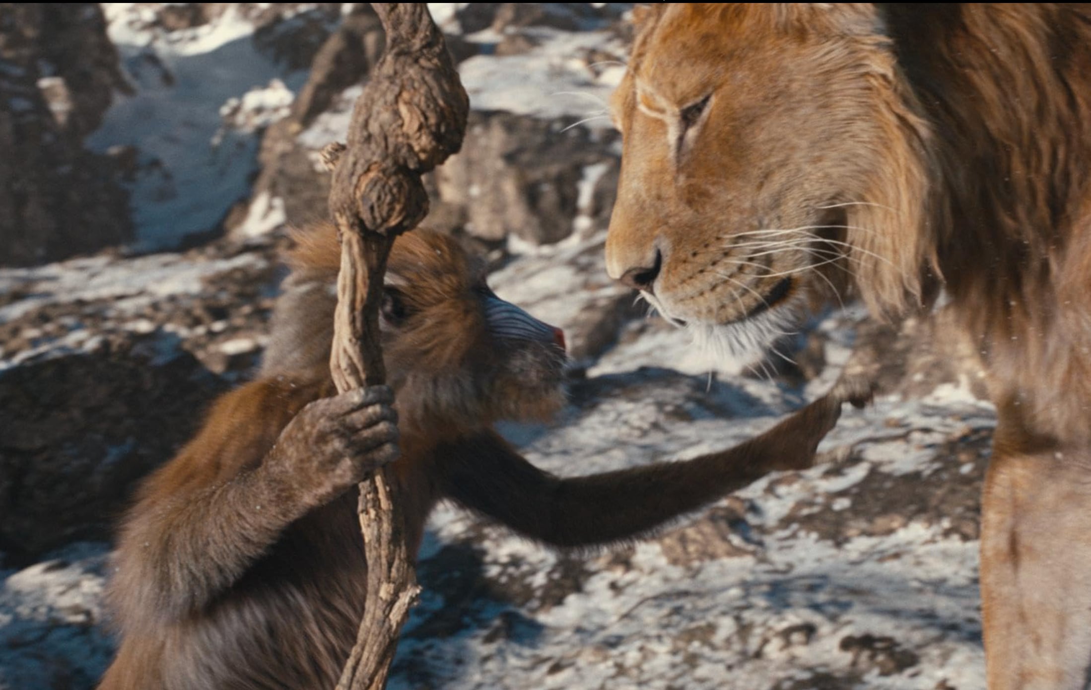 'Mufasa: El Rey León' regresa a los cines con la historia del dueño de la jungla. (Foto: IMDB)