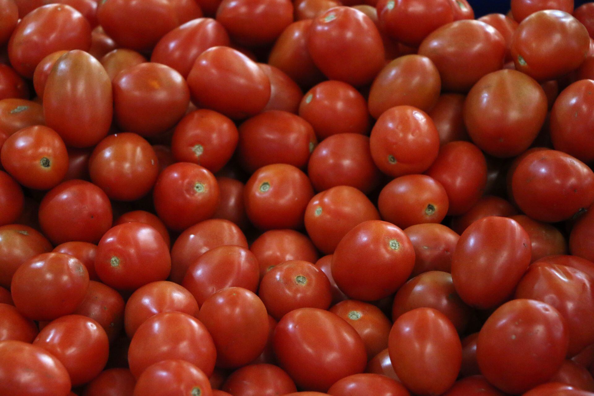 Oficiales de Aduanas interceptan empresa de envío de tomates al intentar eludir orden de retención