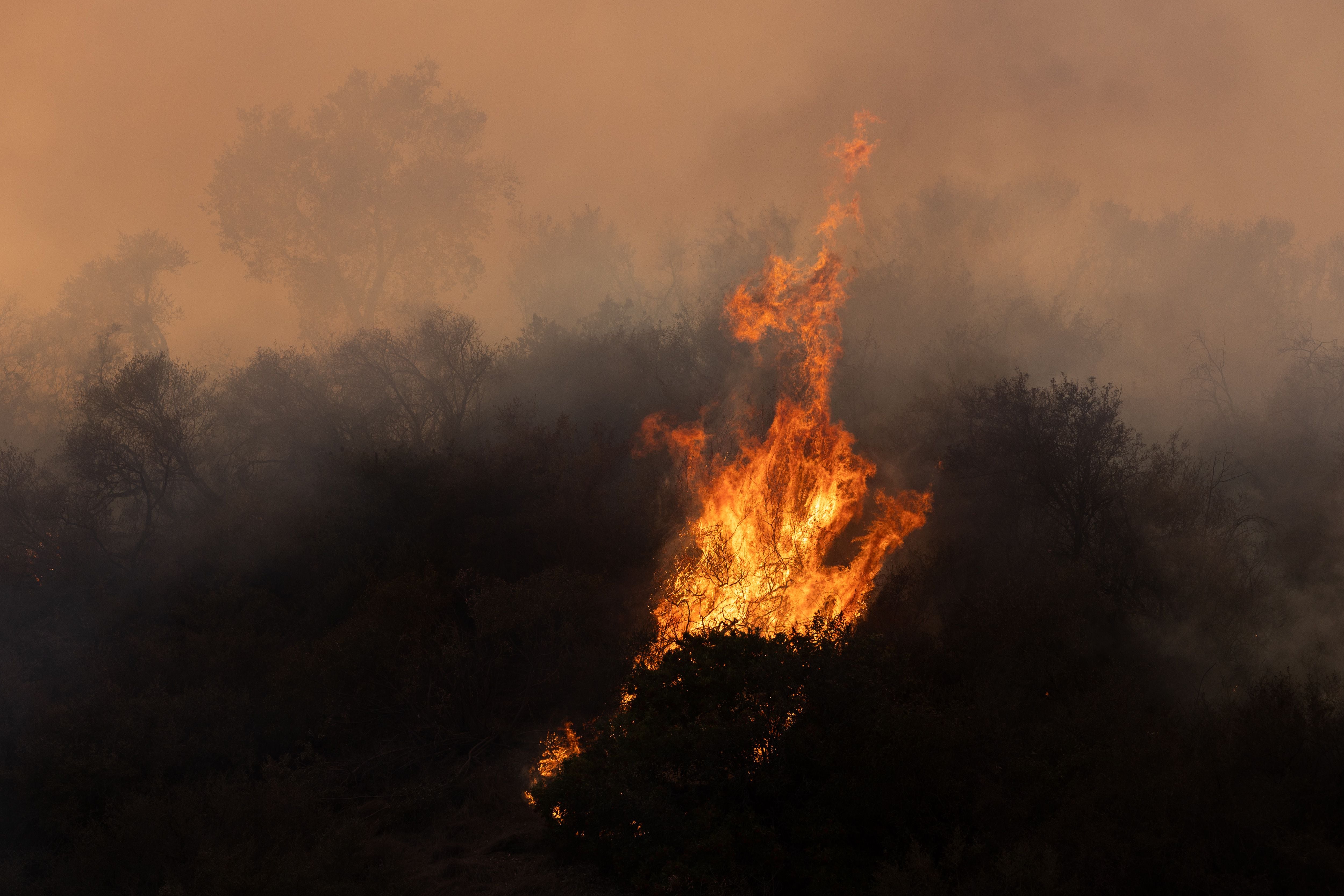 Las víctimas por incendios en California son más de 20. (Foto: Bloomberg)