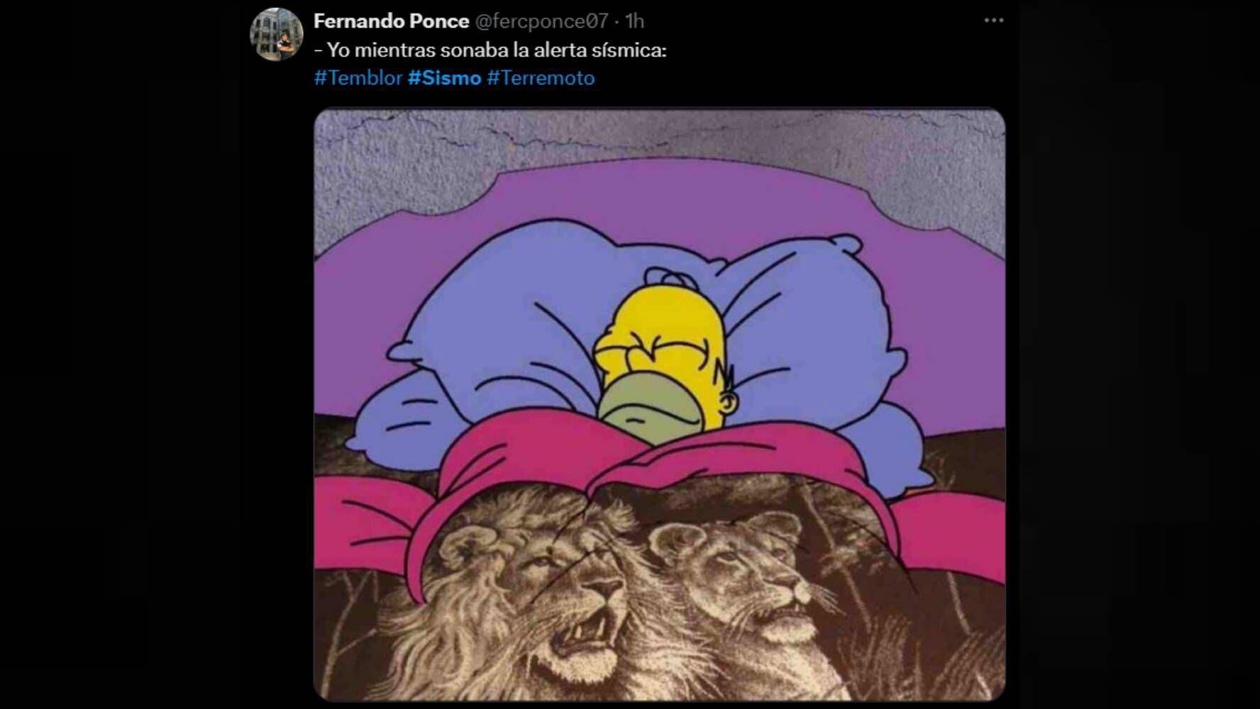 Memes del sismo de madrugada. (Foto: Especial).