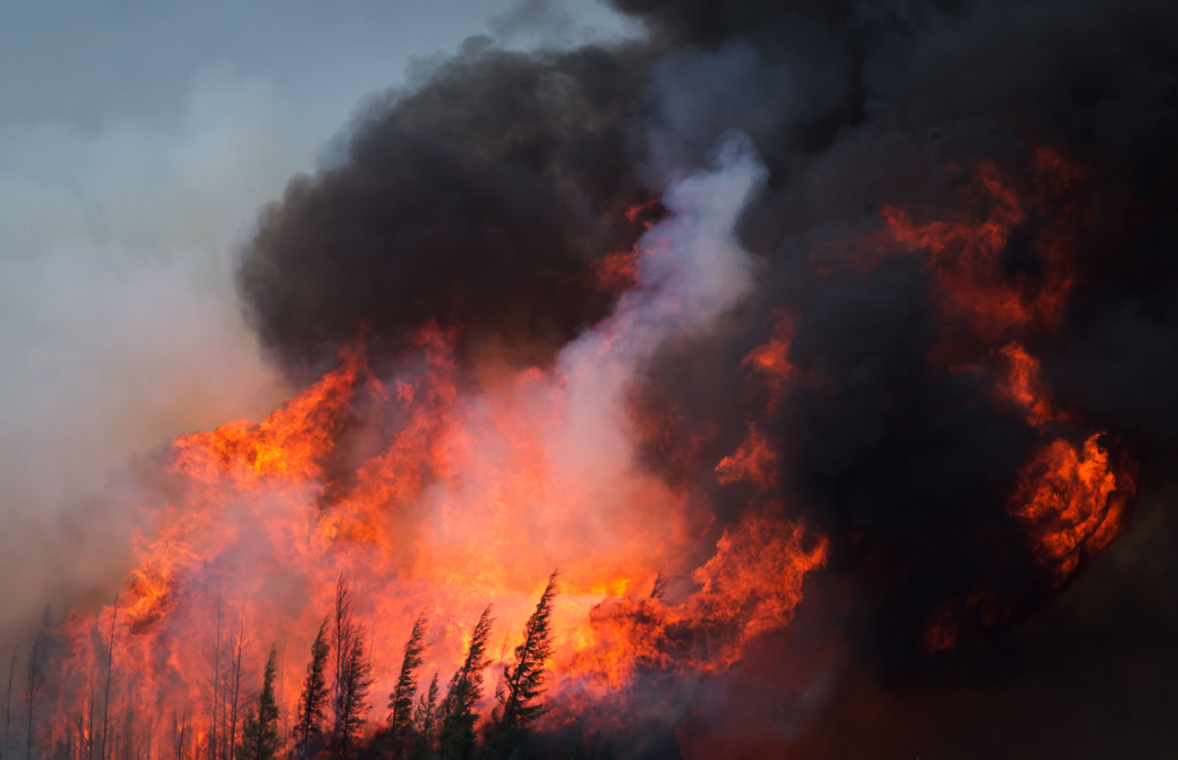 Incendios forestales en Canadá: El fuego ‘cerca’ la ciudad de Fort McMurray