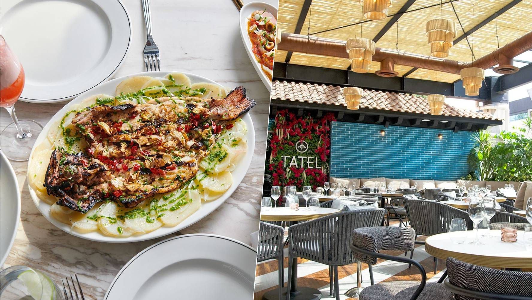 Tatel sirve comida con inspiración mediterránea y ha tropicalizado algunos platillos de su carta para el gusto de los comensales. (Foto: Instagram / @tatel.mexicocity).