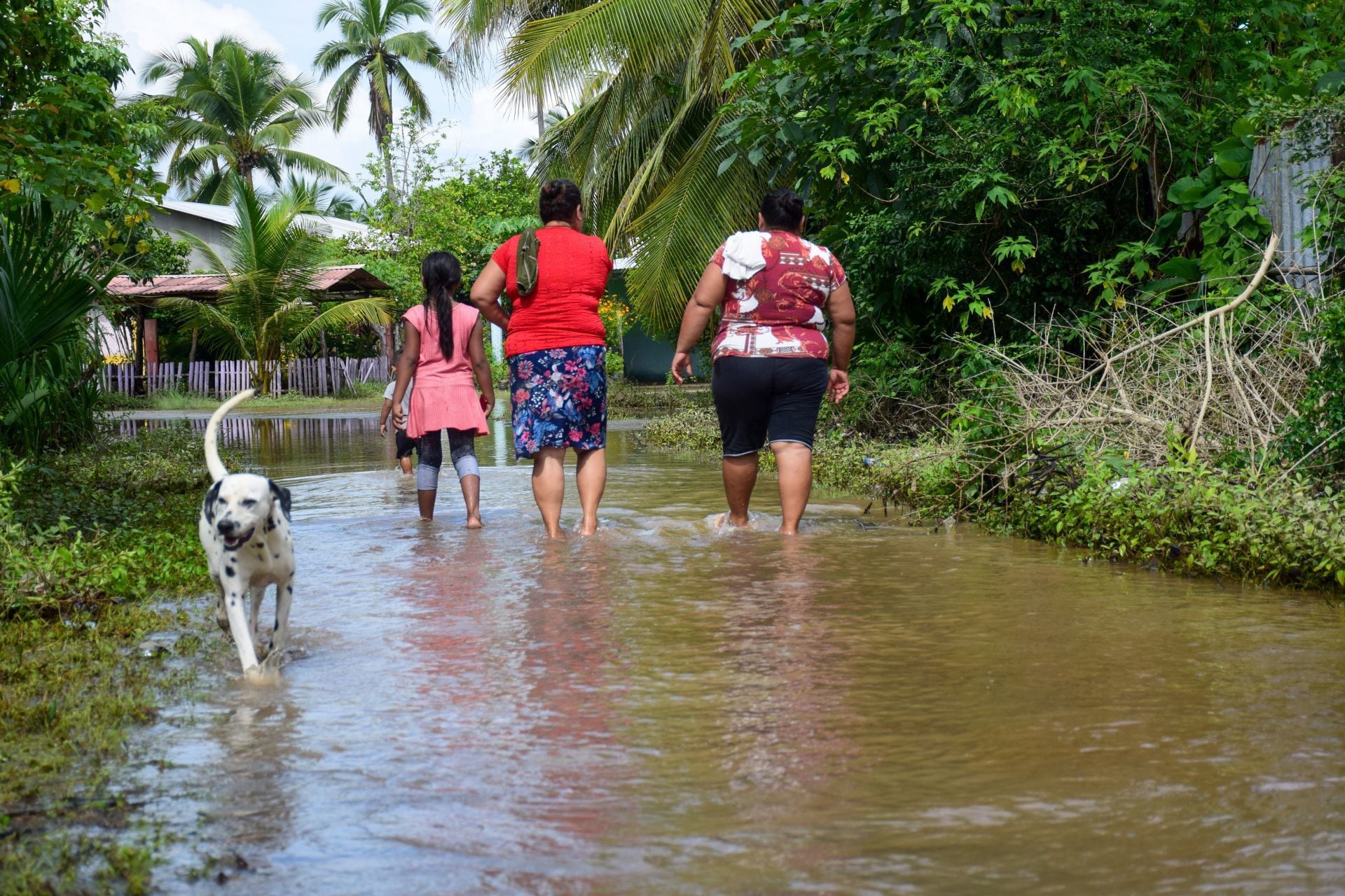 Las entidades del sureste han sido de las más afectadas por inundaciones en la temporada de lluvias de este año.