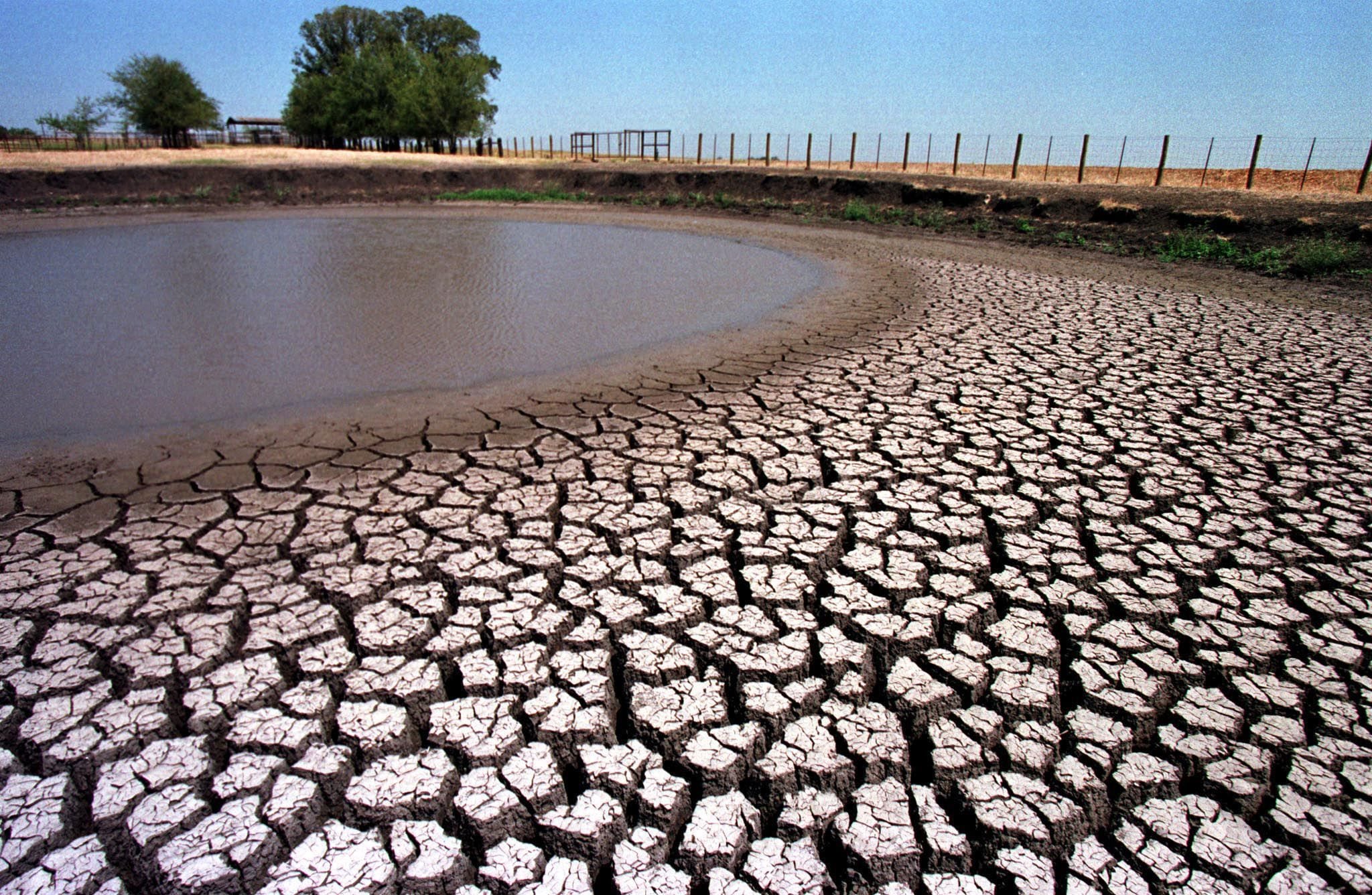 Se avecinan más olas de calor, ¿Cómo está Texas en cuestión de sequía?
