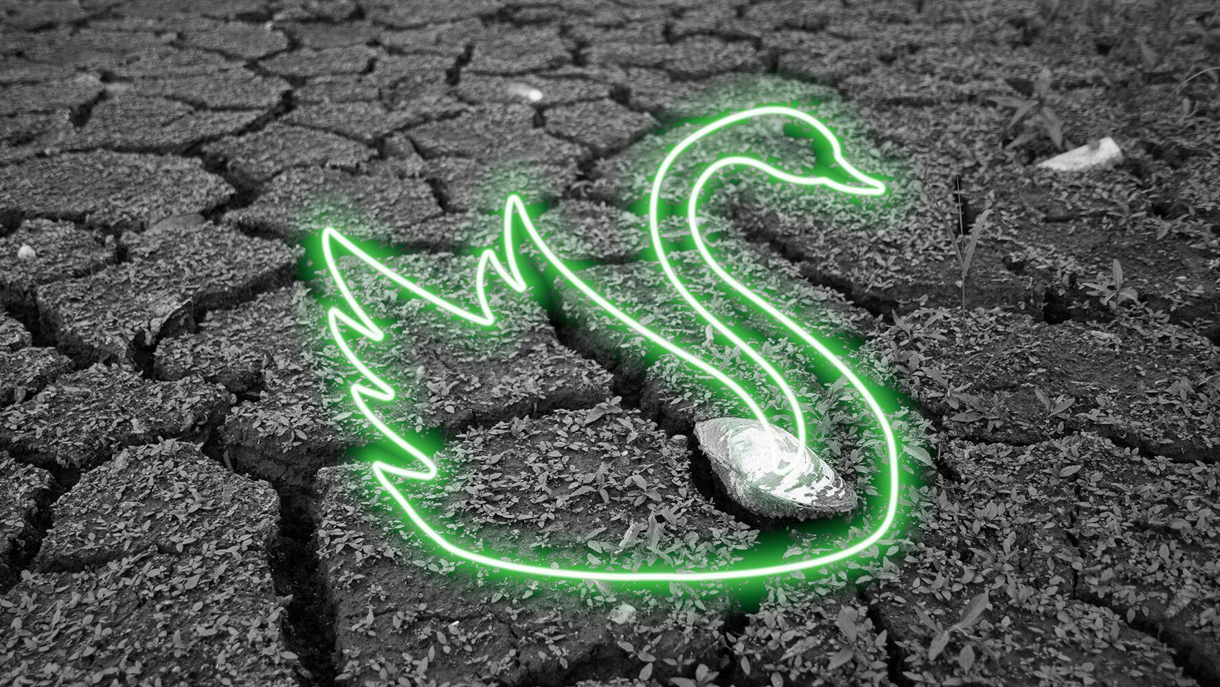 ¿Qué es el ‘cisne verde’ de Carstens y cómo se relaciona con el cambio climático?
