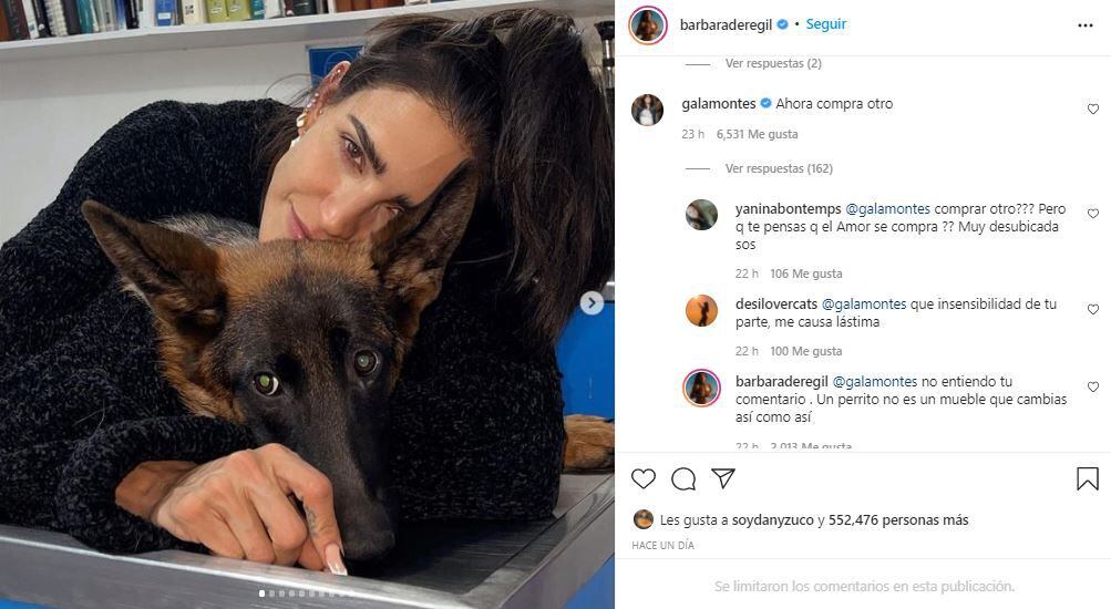 Bárbara de Regil anunció en Instagram la muerte de su mascota.