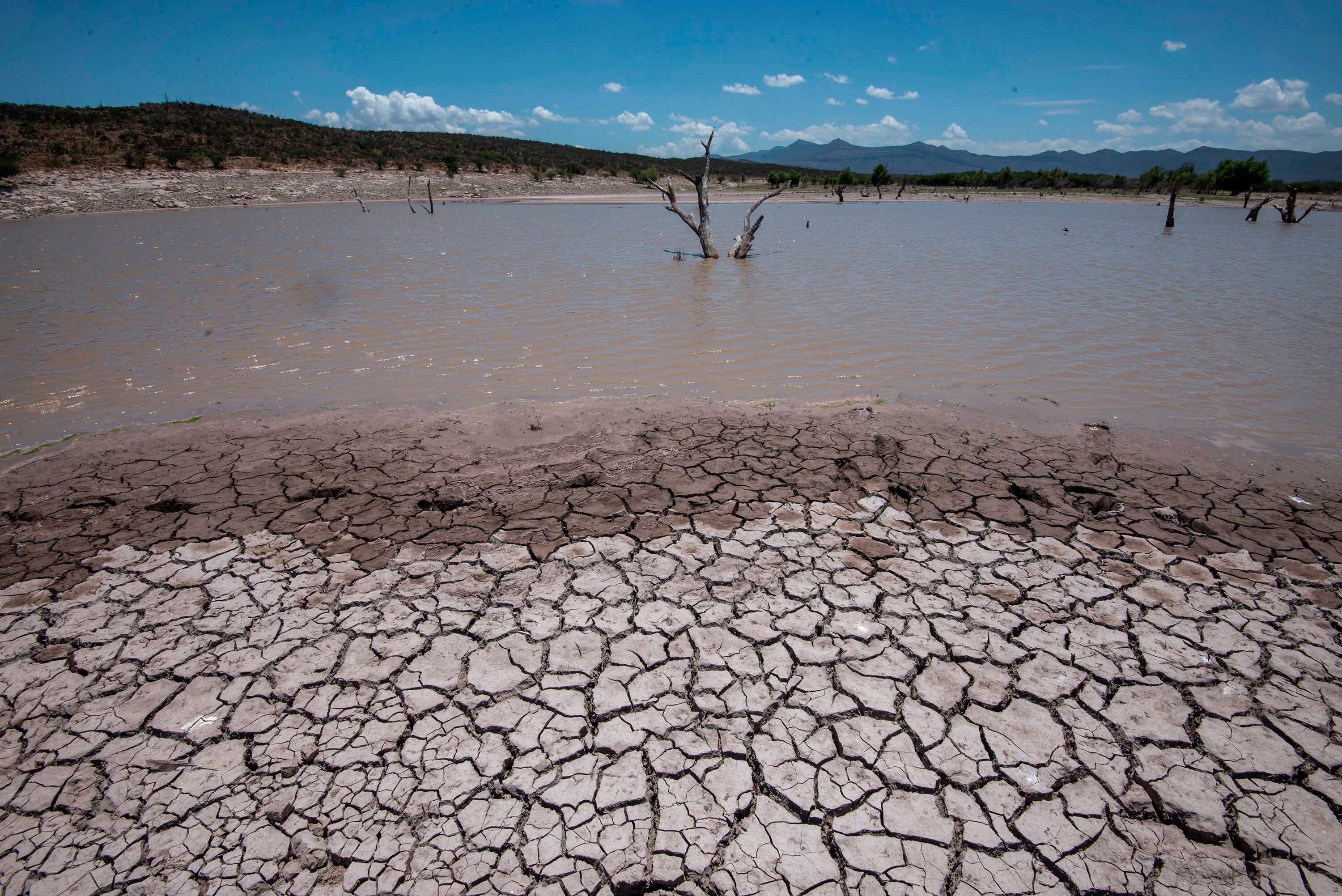 Empeora el estrés hídrico que envuelve a México: 8 de 13 regiones lo padecen