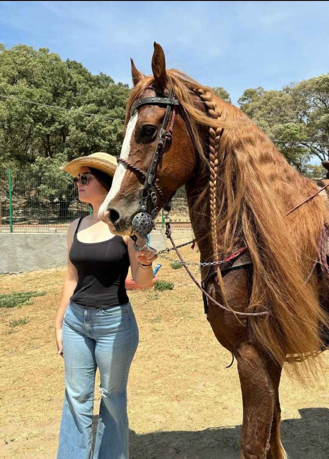Emily Cinammon, hija mayor de 'Canelo' Álvarez, practica la equitación. (Foto: Instagram @emilyc.alvarez)