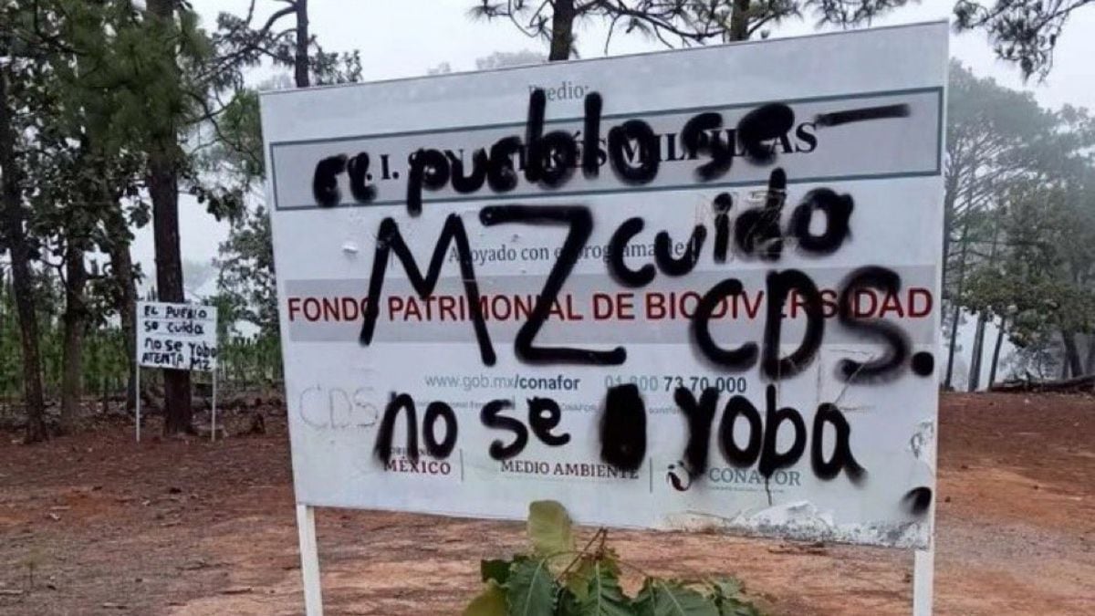 Nayarit vive un ‘infierno’ por disputa del Cártel de Sinaloa y CJNG; 12 comunidades están ‘desiertas’