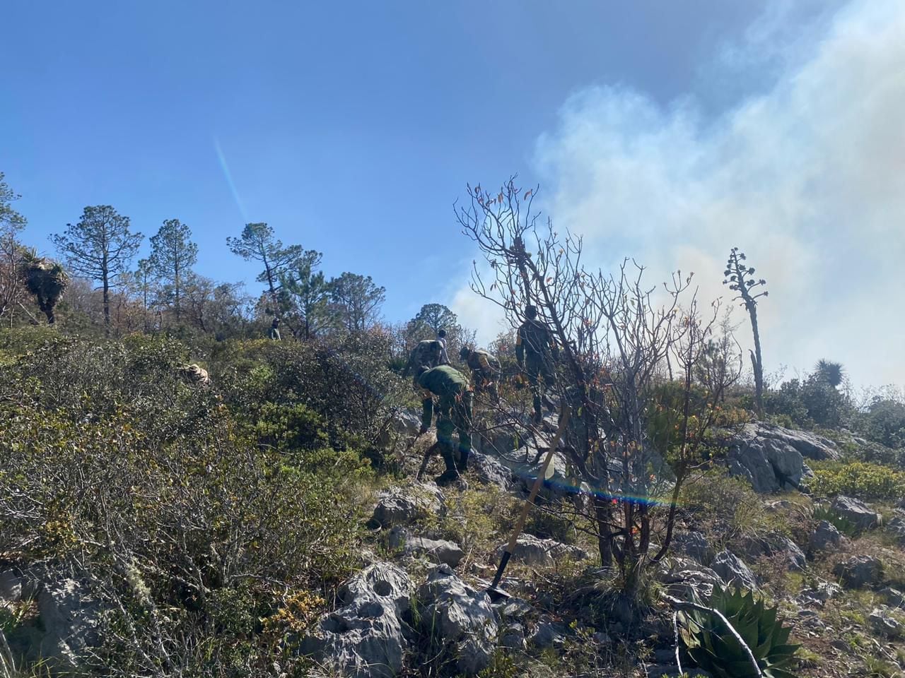 Incendio forestal en Miquihuana, Tamaulipas, ha ‘arrasado’ 40 hectáreas