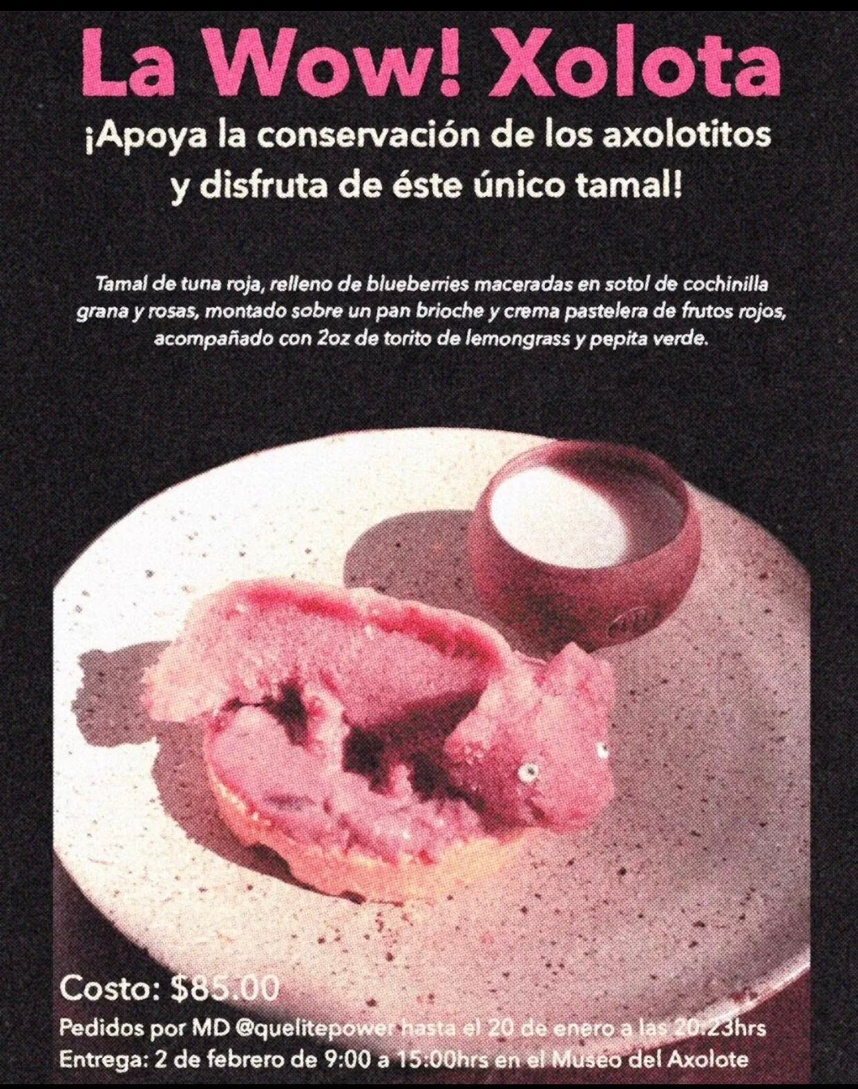 La Wow Xolota tiene forma del anfibio mexicano. (Foto: Instagram / @quelitepower)